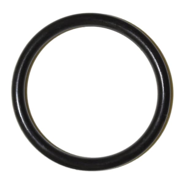 Danco Danco 1-5/8 in. D X 1-3/8 in. D No 97 Rubber O-Ring 1 pk 9D0035877B - main